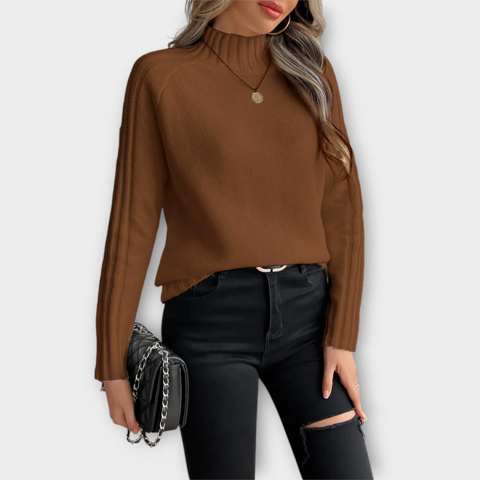 Celine Cozy Turtleneck Sweater